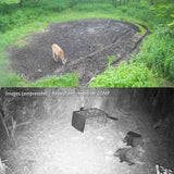camera de chasse 4g solaire nocturne